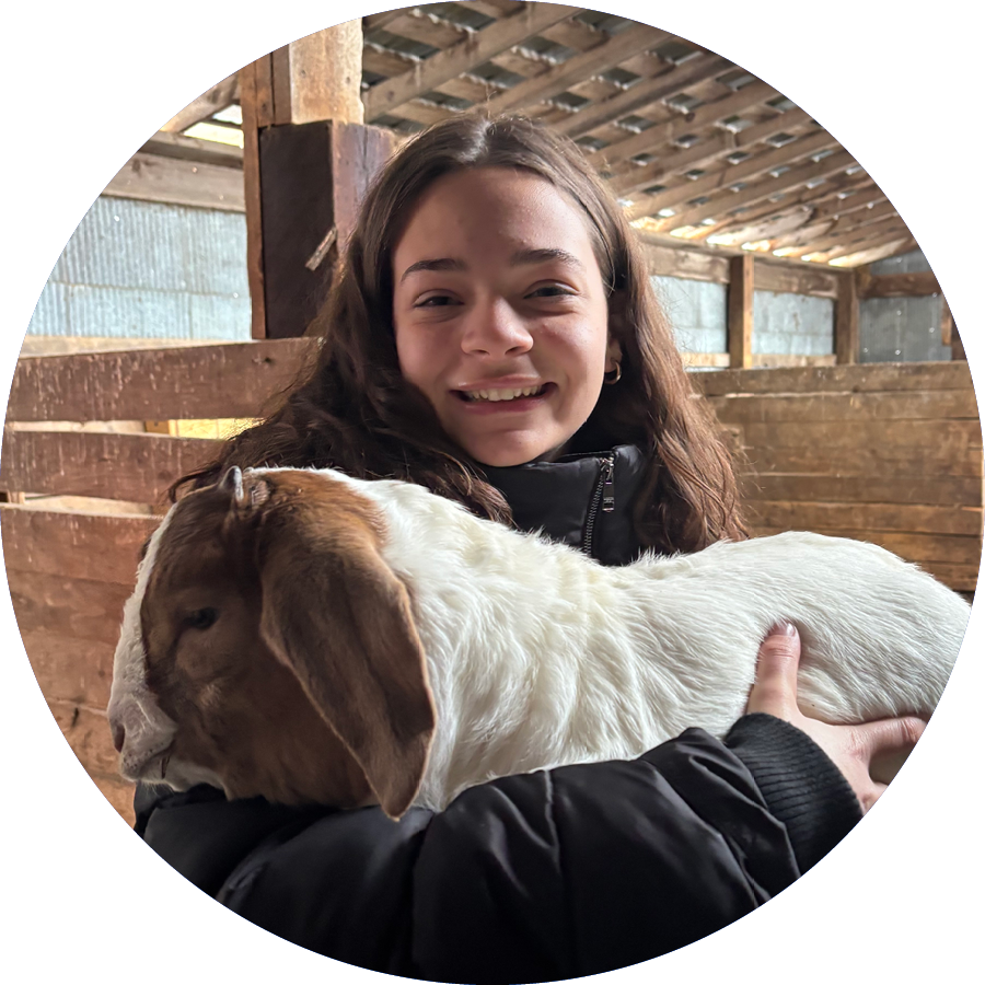 Teenage girl holding a goat